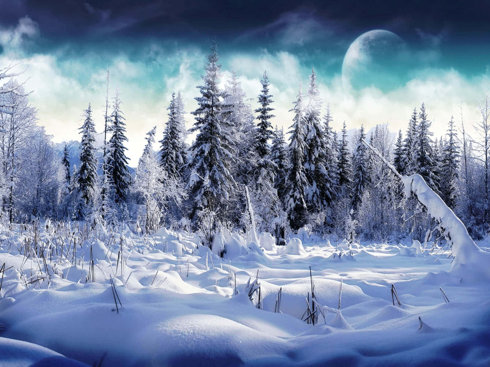 明亮燈光、繁華都市——加上一抹特別的雪景！ 壁紙 — 雪地森林，戲劇性的暮色天空，一輪大月亮在雲後發光。