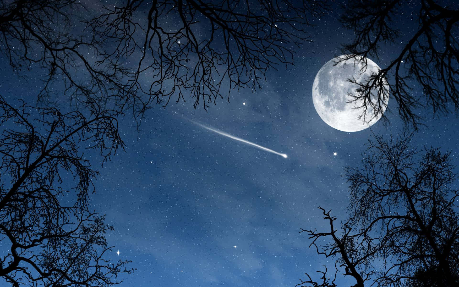 月亮與星星動畫 桌布 壁紙 — 明亮的月亮和流星劃過由光禿樹枝框住的星空夜空。