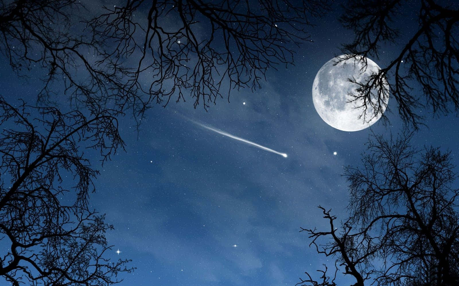 Midnight 桌布 壁紙 — 明亮的月亮和流星劃過由光禿樹枝框住的星空夜空。