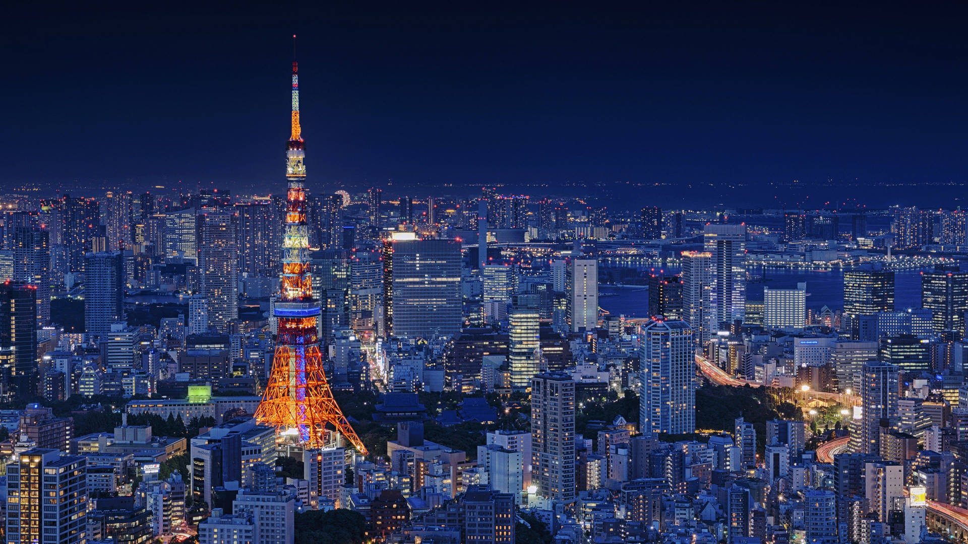 夜晚的東京塔亮起燈光，下方城市燈火閃爍。