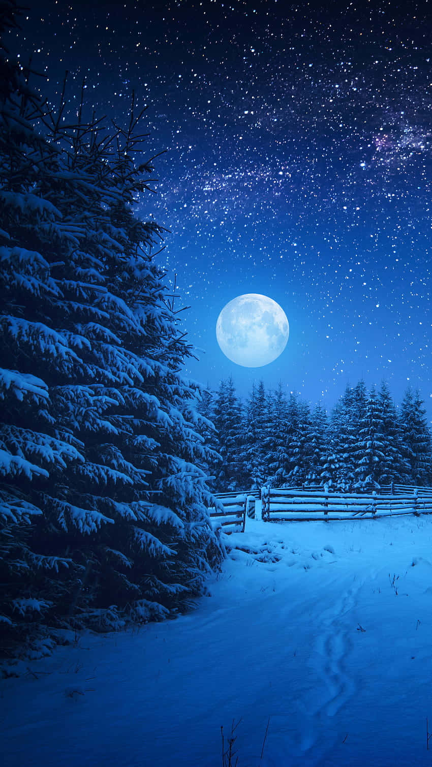 Moon Night 桌布 壁紙 — 明亮的滿月和星空下的雪地森林小徑，覆蓋著雪的松樹和木柵欄。