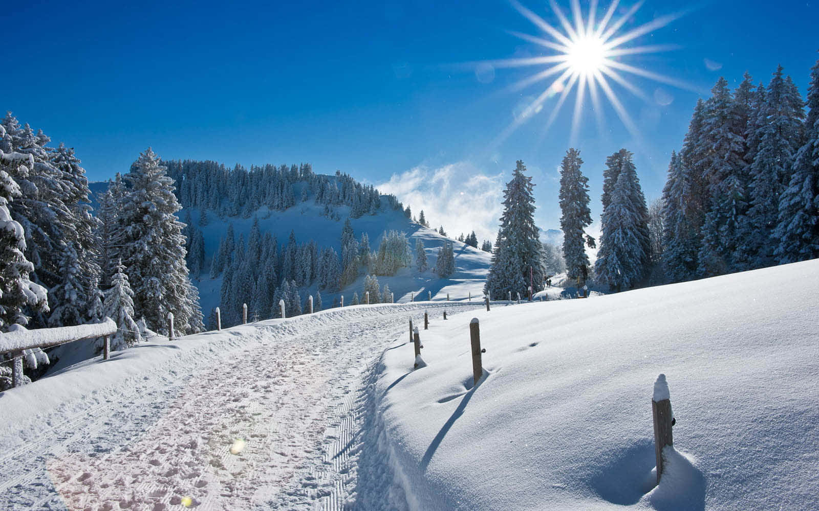 道路 桌布 壁紙 — 明亮的陽光照耀在白雪覆蓋的山路上，兩旁是結霜的松樹，天空清澈湛藍。