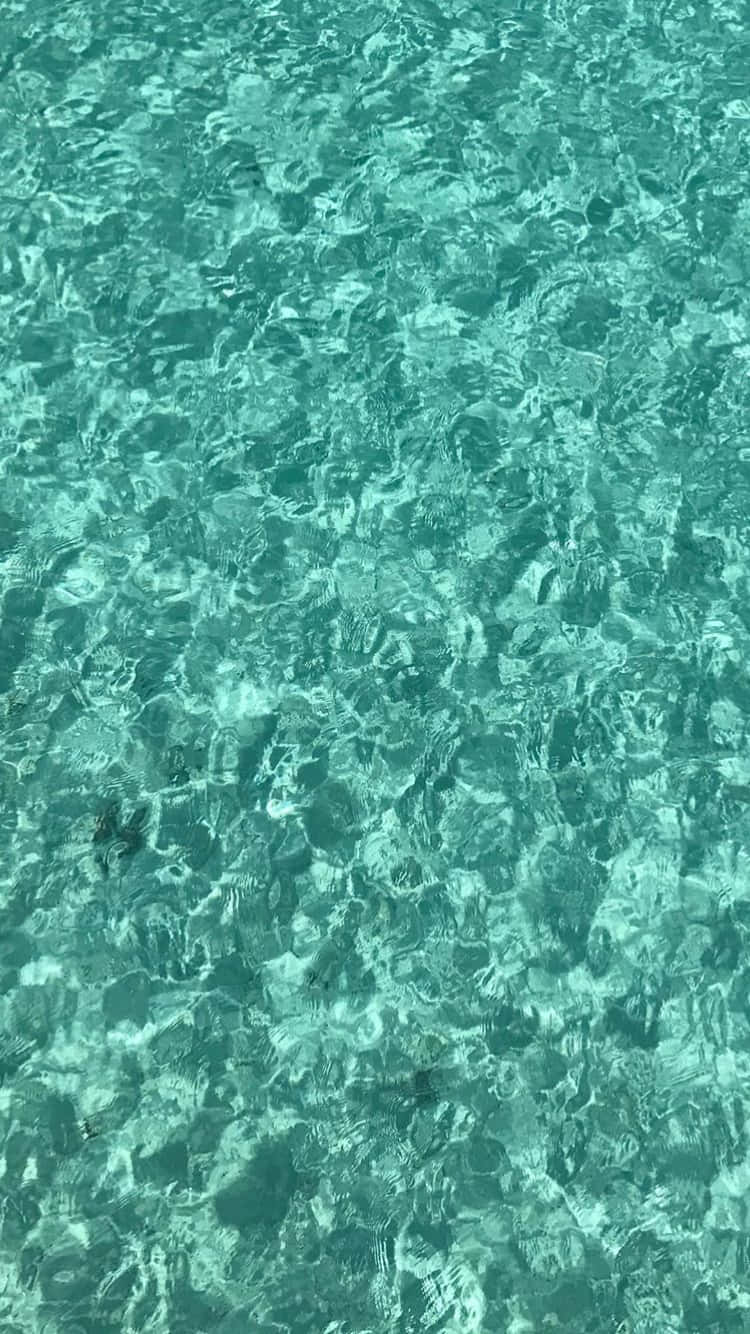 閃爍的碧綠海水，帶有輕柔漣漪和陽光反射。