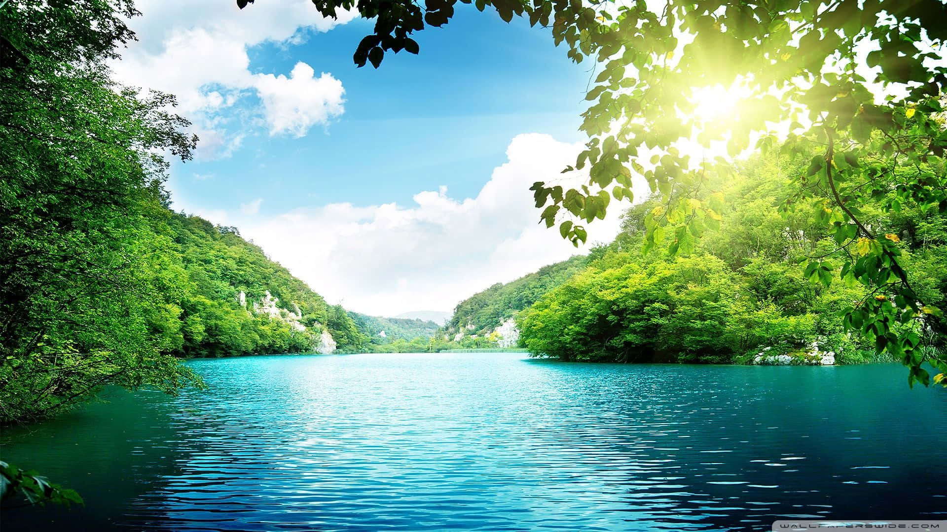 陽光穿過樹枝，照耀在森林山谷中平靜的碧綠湖泊上。