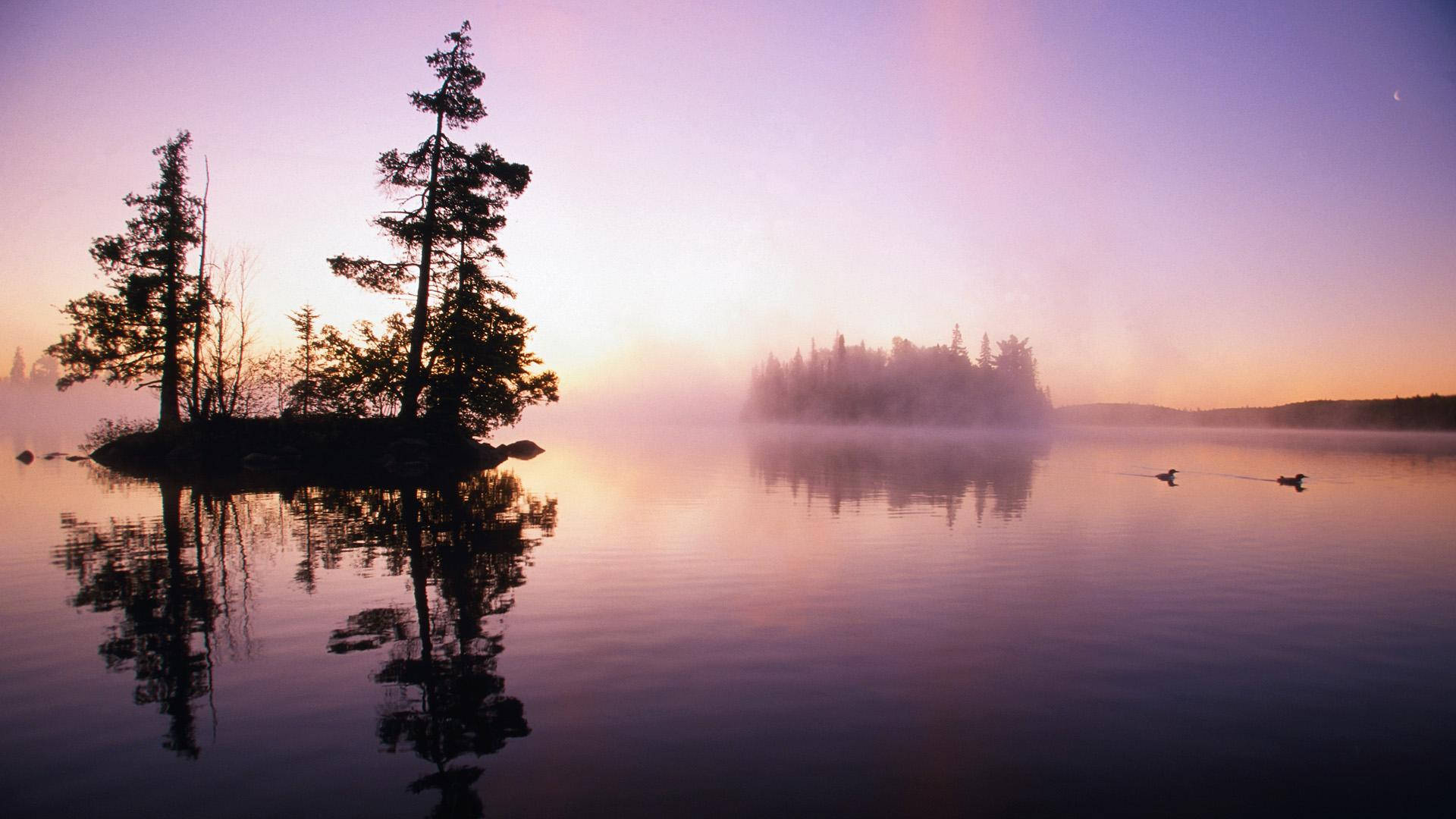 明尼蘇達森林湖泊晨景 壁紙 — 霧氣籠罩的湖中島嶼上，樹木的剪影倒映在平靜的水面上，柔和的日出色彩塗滿天空。