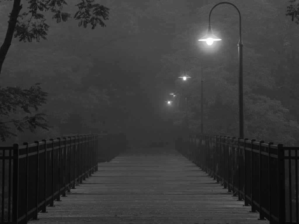 霧夜橋樑，閃爍路燈與樹影。