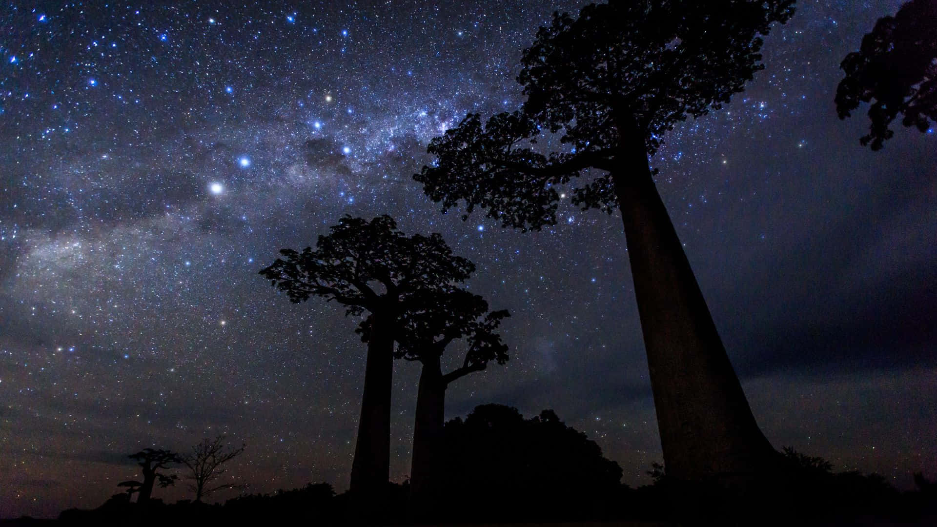 星夜背景 — 星空夜 壁紙