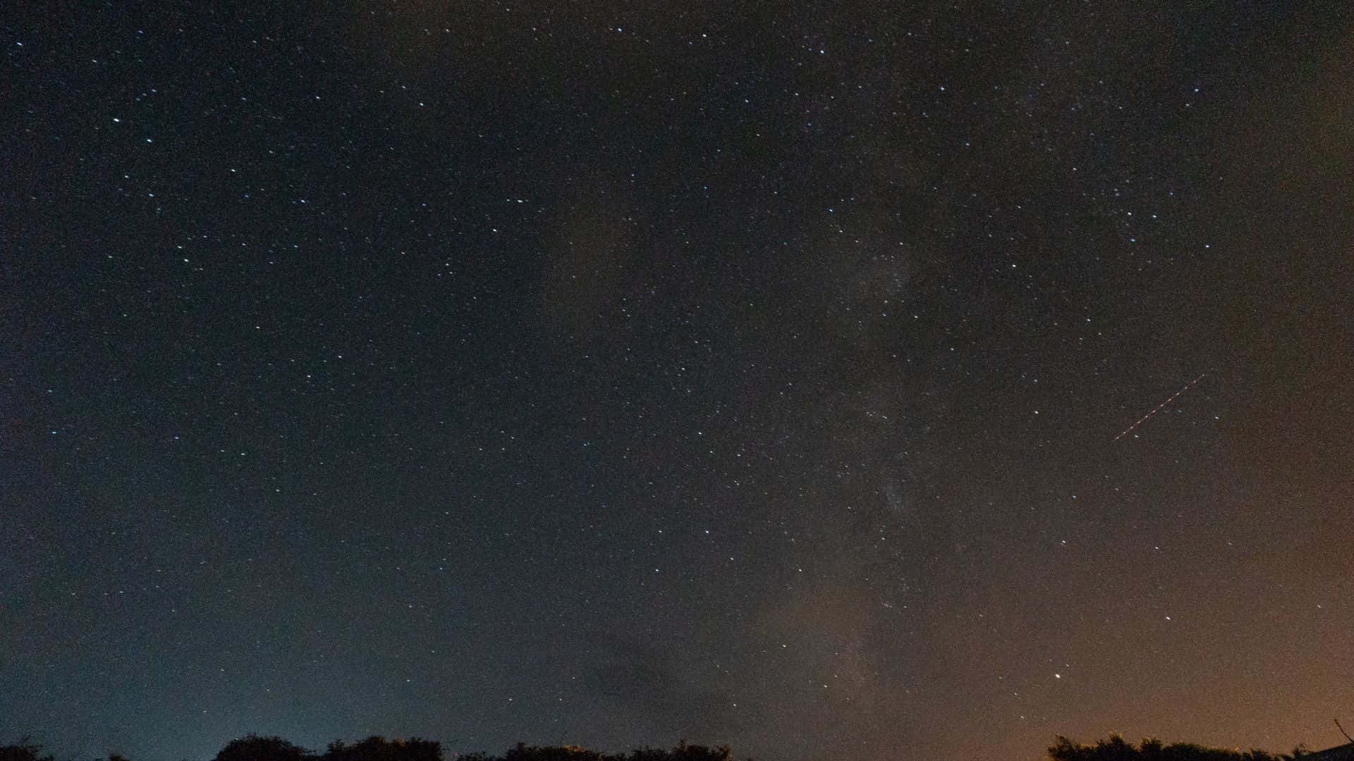 夜晚黑暗樹線上的銀河系和流星。