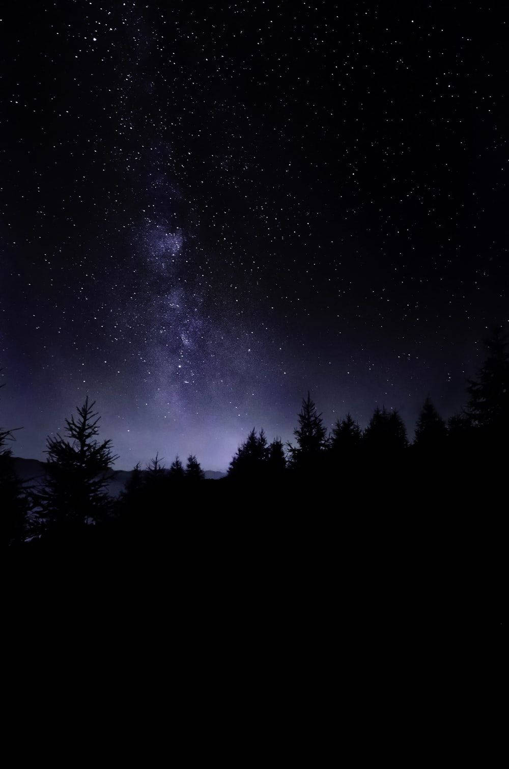 在可見銀河的星空夜空背景下，深色松樹呈現剪影。