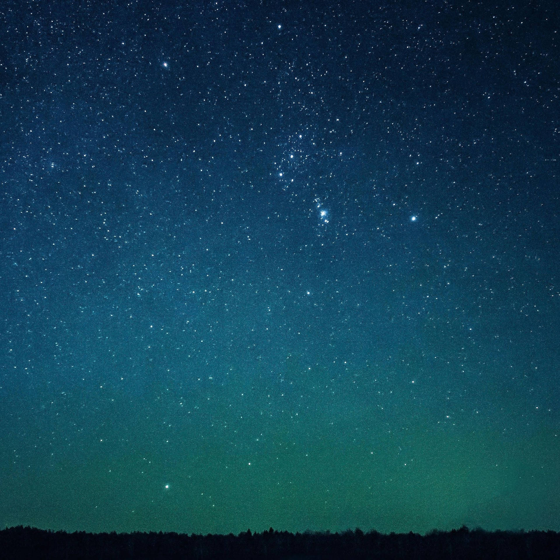 一個繁星點點的夜空，綠色極光在森林輪廓上方。
