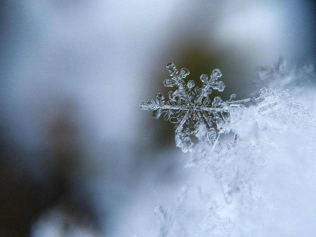 雪花在雪地上的特寫，細節清晰，背景模糊的冬日