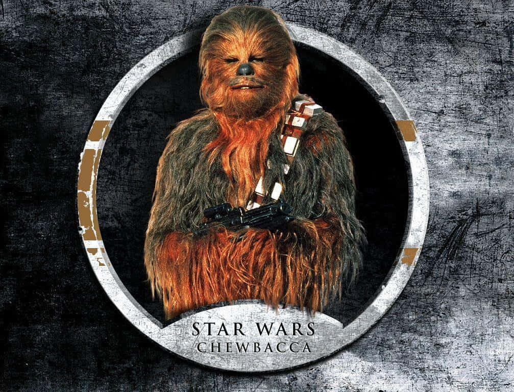 Wookiee 桌布 壁紙 — 《星球大戰》中的丘巴卡站在圓形框架內，背景是粗糙的金屬質感，手持標誌性的弩槍。