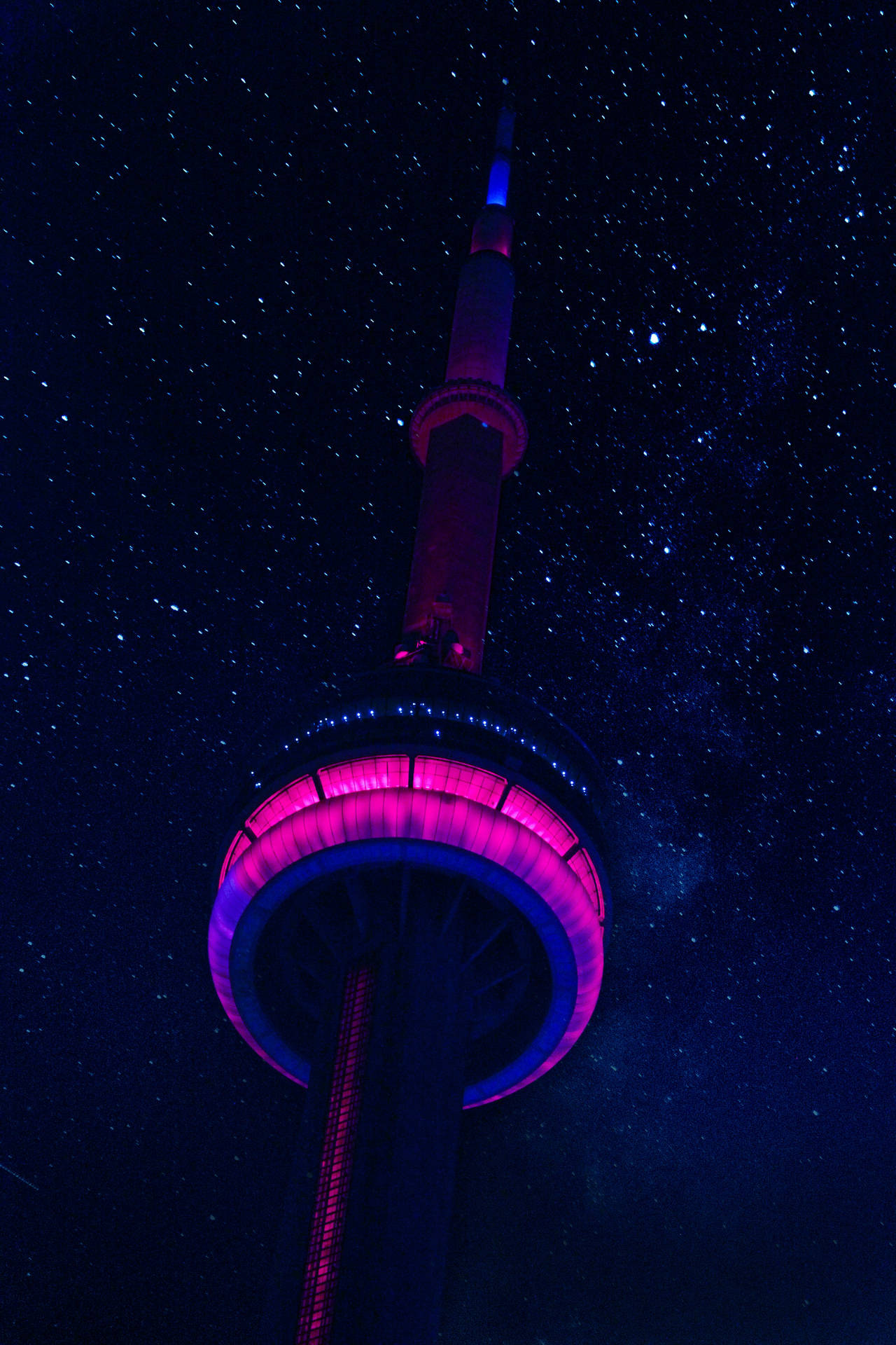 CN塔在星空夜空下以粉紅色和藍色照亮