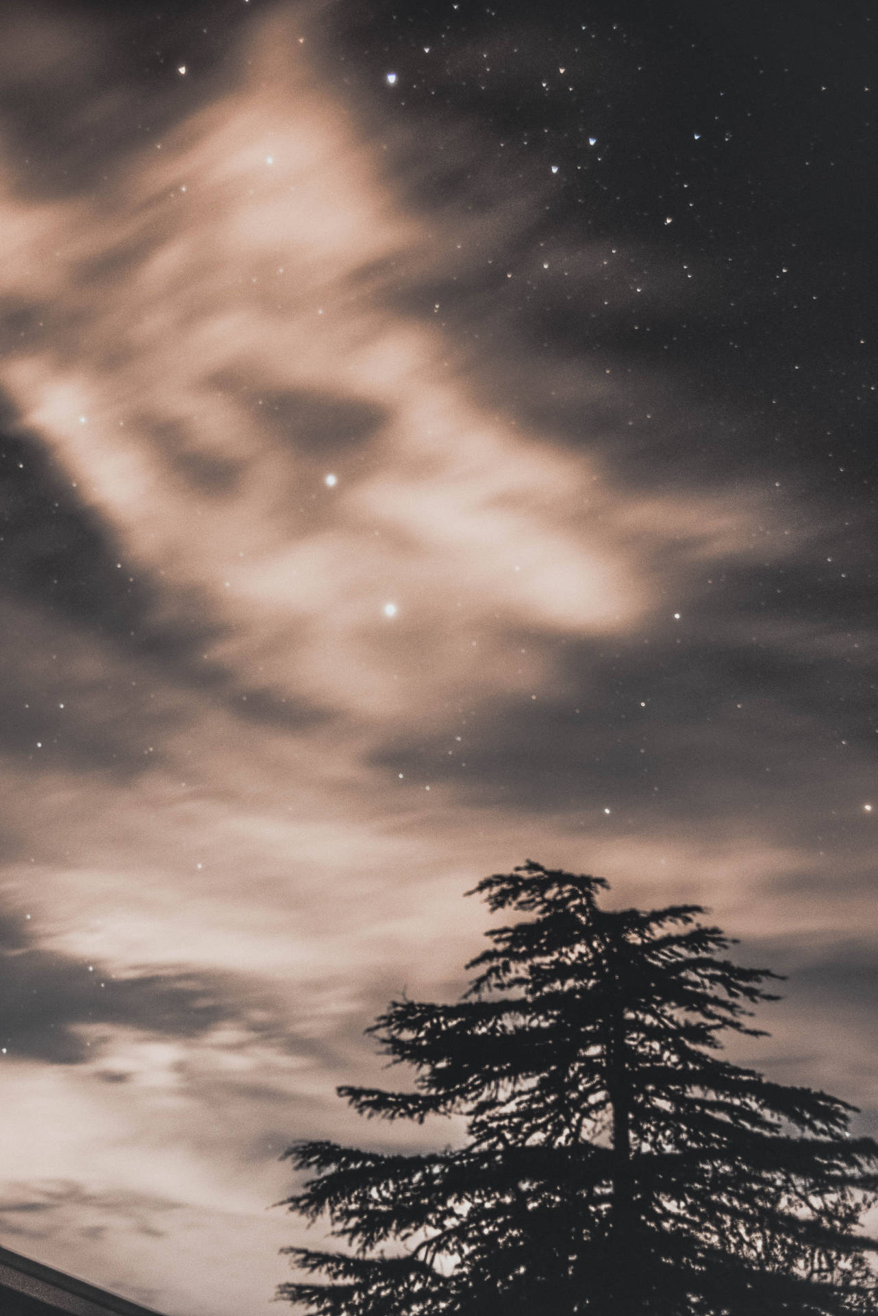 樹的剪影，背景是繁星點點的夜空和發光的雲彩。
