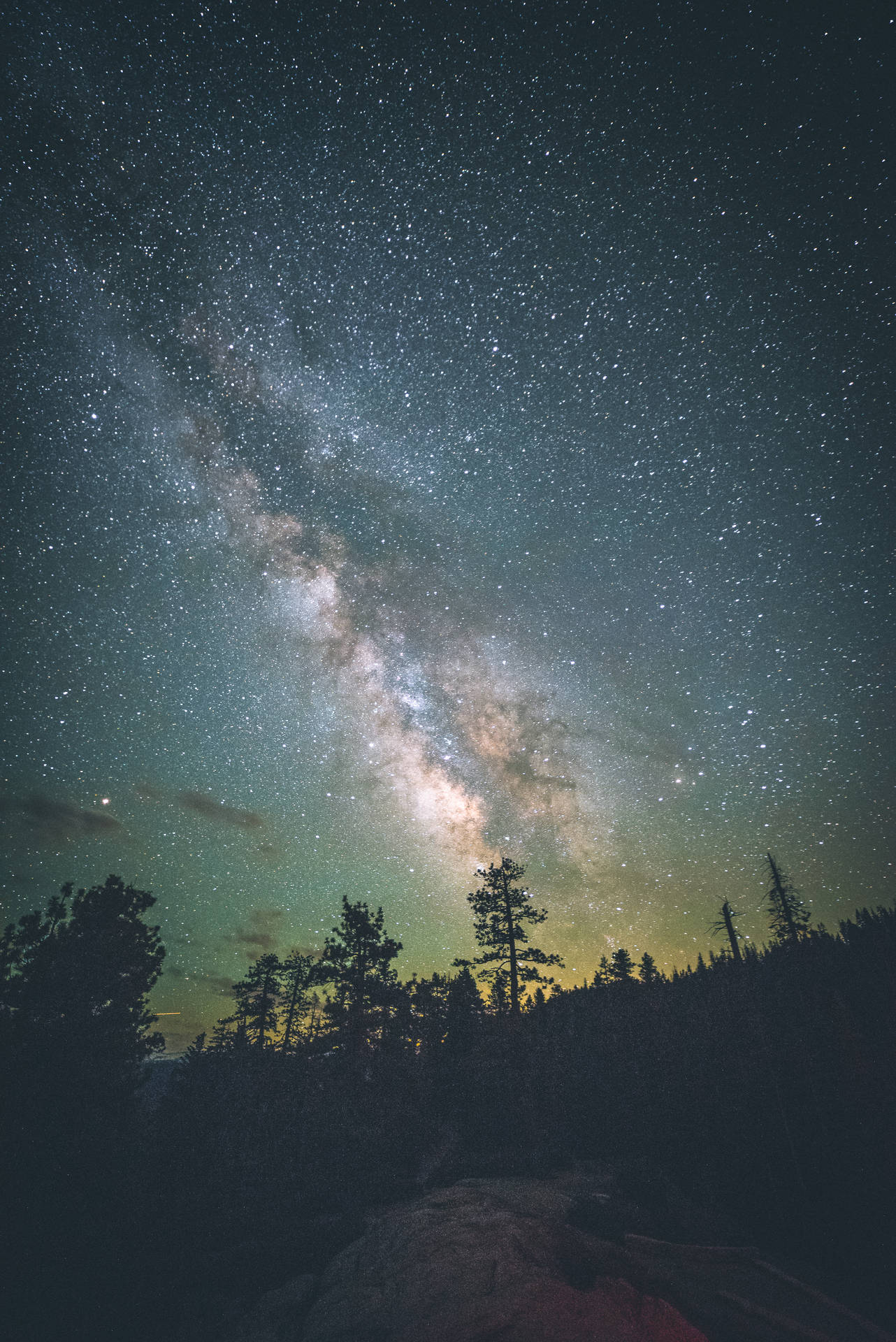 銀河系在夜間森林上方發光。