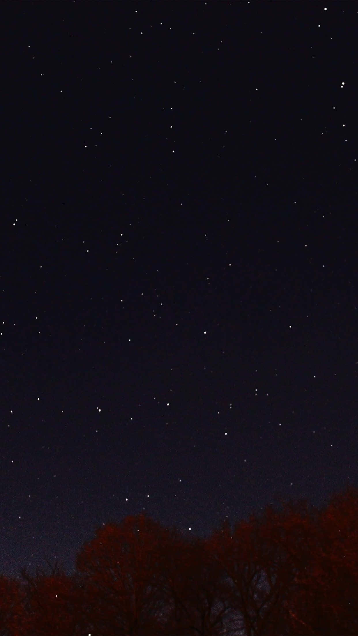 Dark Sky 桌布 壁紙 — 星空之夜，下方是深色剪影樹木，底部有發光的紅色樹葉。