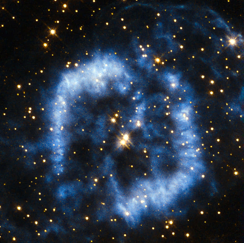星空圖片 — 派大星 GIF 壁紙