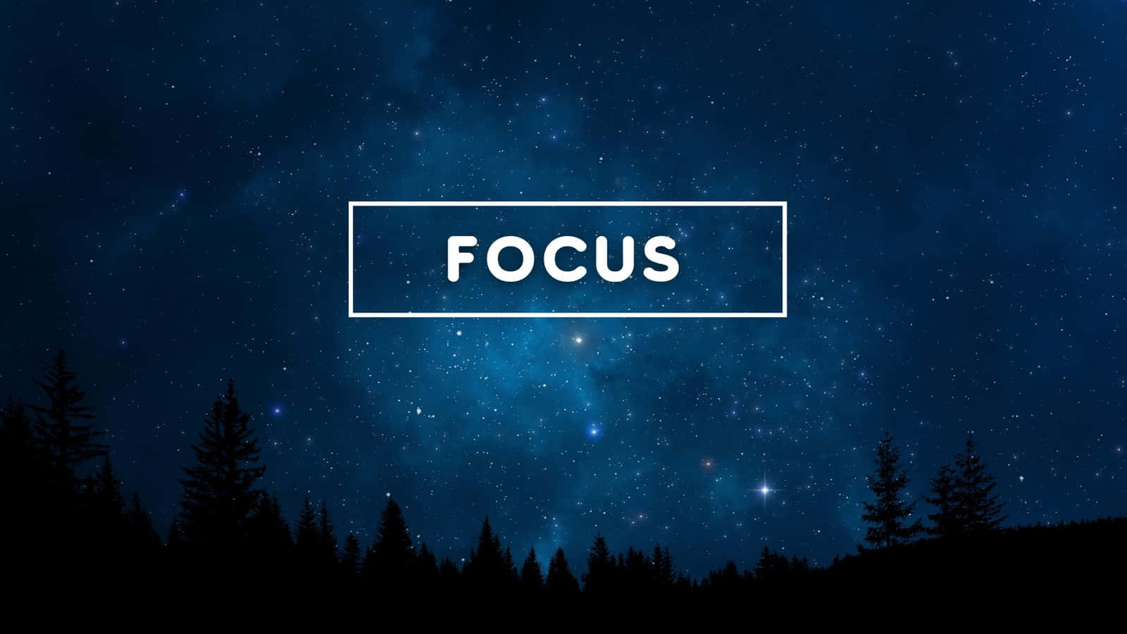 Focus 桌布 壁紙 — 星空夜空，中央有一個白色邊框的焦點框，位於剪影松樹上方。