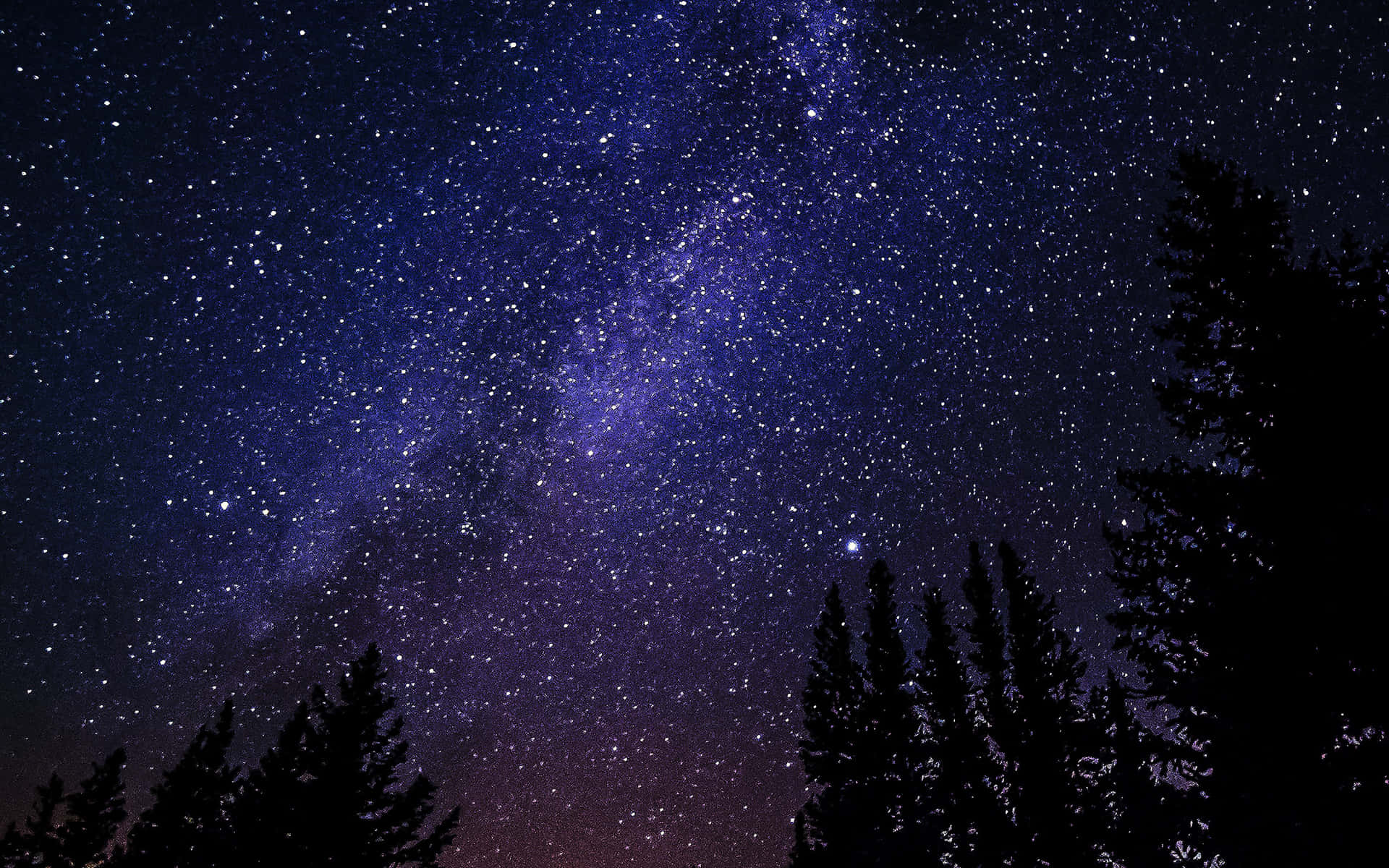 夜晚松樹剪影上方的銀河系