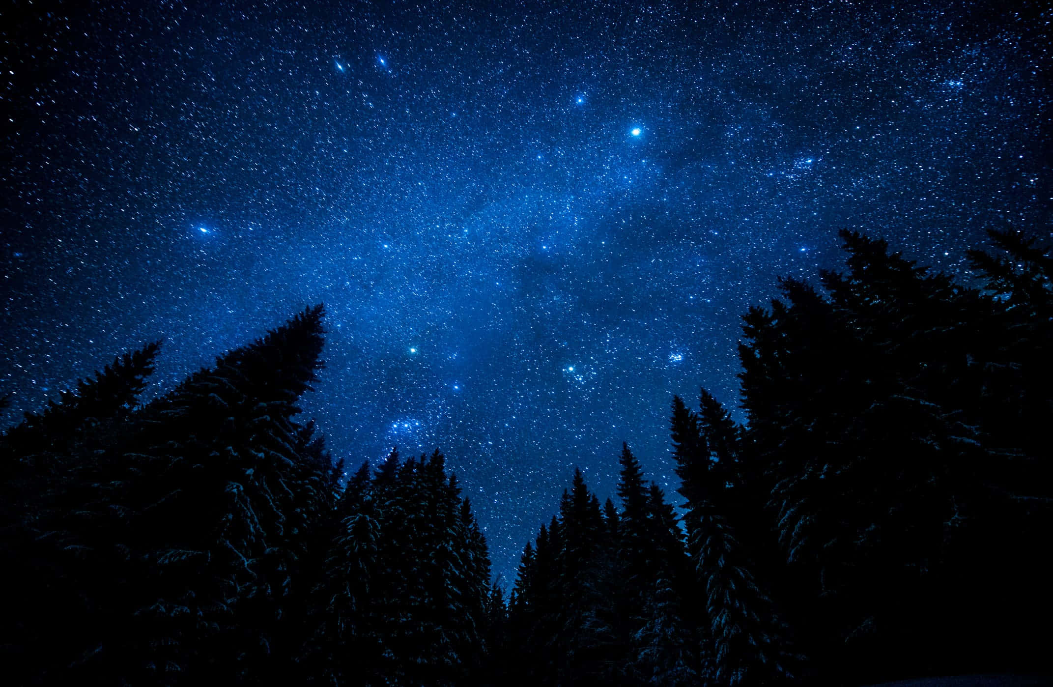 星空與樹影的夜空 壁紙 — 令人嘆為觀止的星空夜景，被白雪覆蓋的松樹的黑暗輪廓所框住。