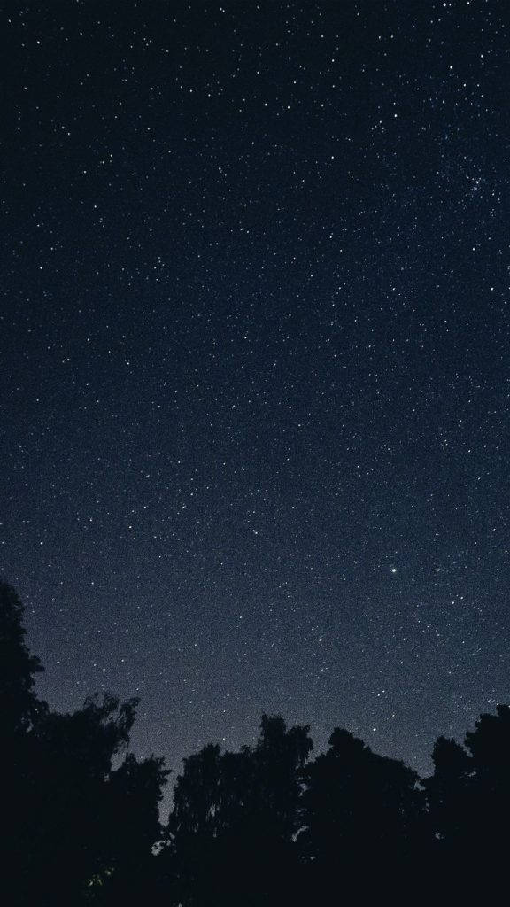 星空銀河暗色iPhone壁紙 壁紙 — 一個充滿無數閃爍星星的星空夜空，上方是樹梢的黑暗剪影。