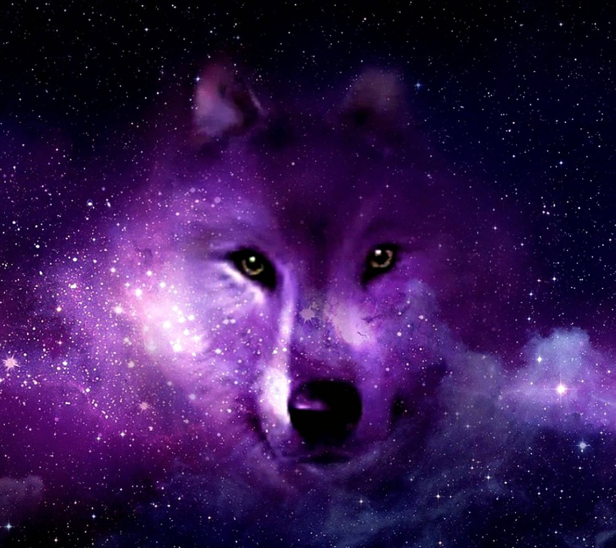 星系狼美學藝術 壁紙 — 一隻雄偉的狼臉從充滿星星和宇宙雲的旋轉紫色星系中浮現。