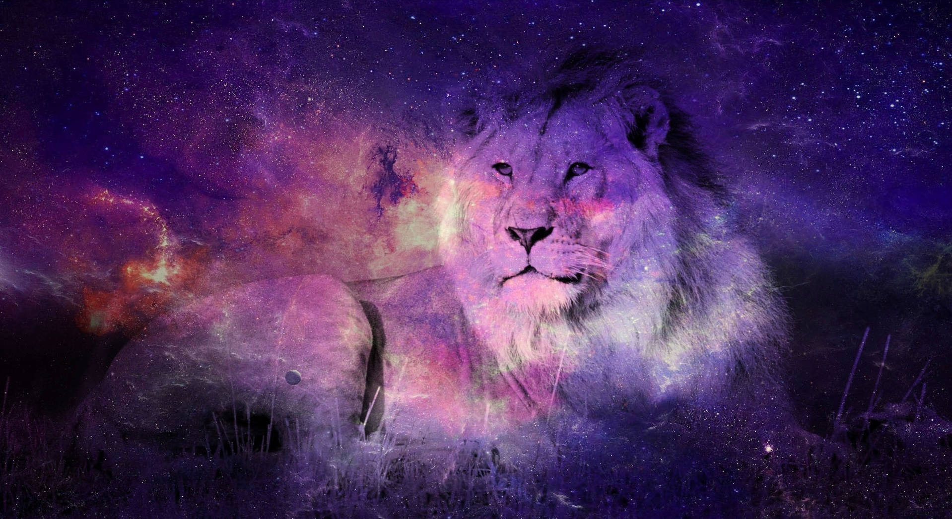 星系獅子疊加圖 壁紙 — 一頭雄獅在星空下，於紫色和粉紅色星雲的宇宙原野中休息。