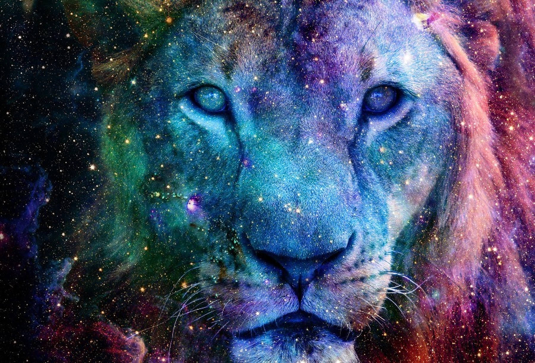 星系獅子肖像 壁紙 — 一頭雄獅的臉龐與充滿活力的宇宙星雲融為一體，星雲中閃爍著星星和旋轉的星系。
