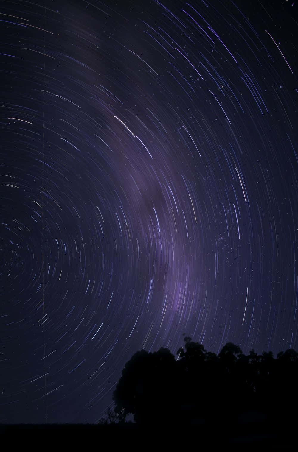 星軌在紫色夜空中劃過弧線，位於樹影上方。