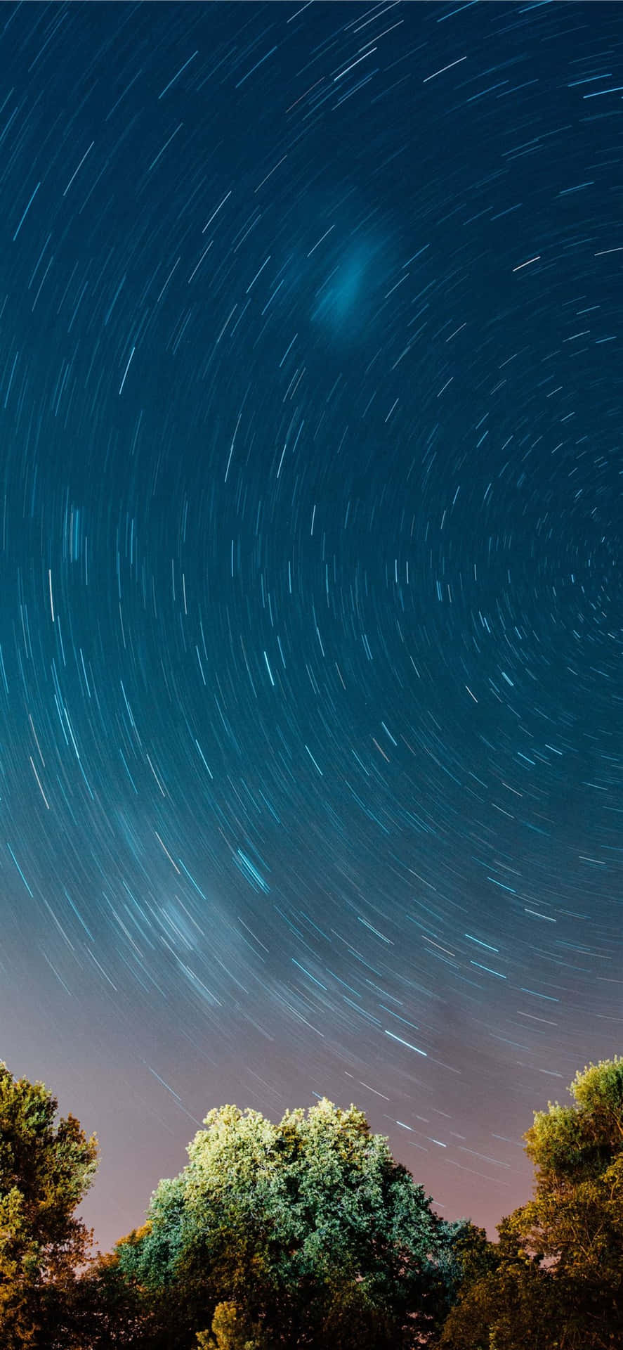 time lapse 桌布 壁紙 — 星軌在深藍色夜空上螺旋延伸，下方是帶有發光葉子的剪影樹木。
