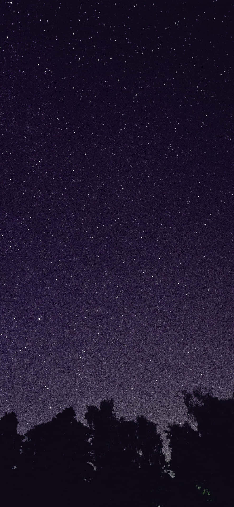 星空下黑暗的樹木剪影。