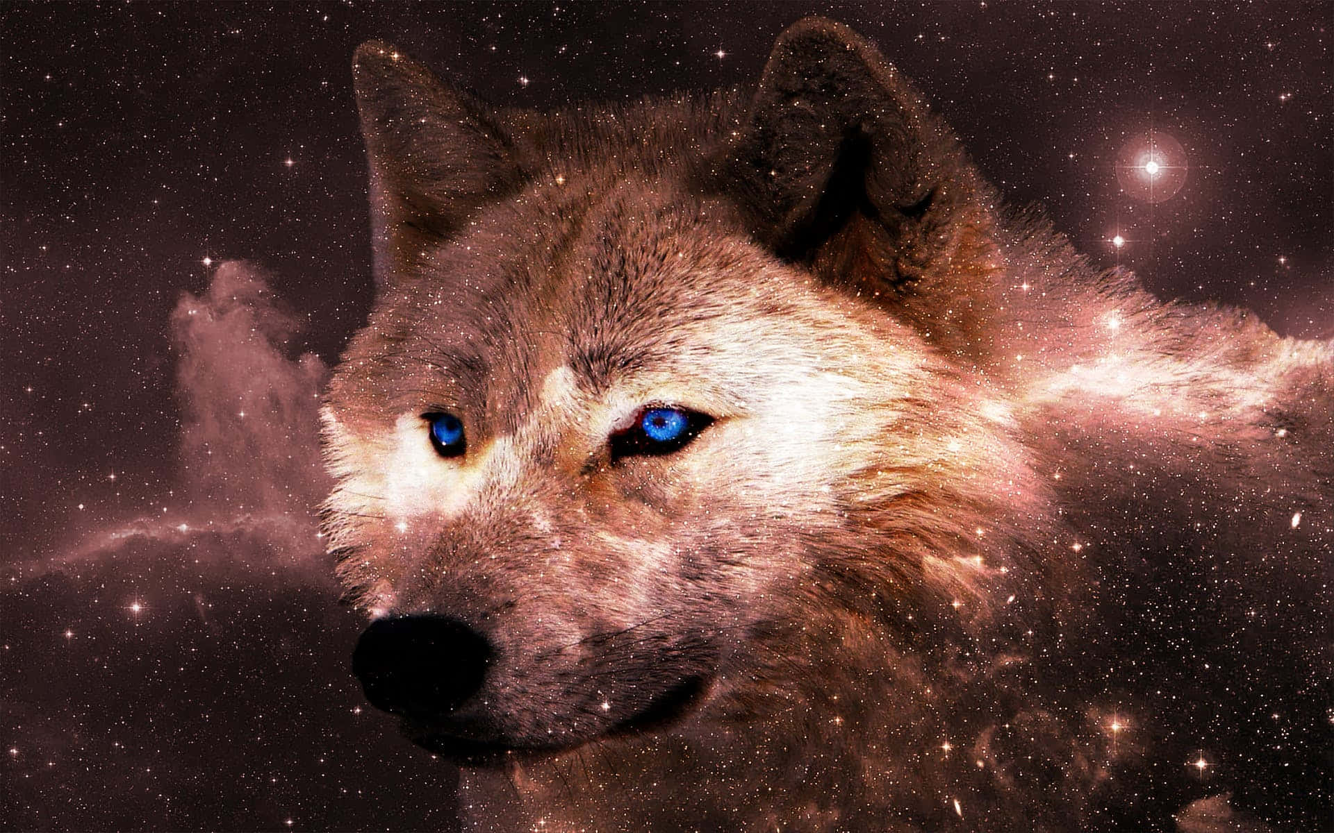 星際中的神聖生物 壁紙 — 一隻雄偉的狼，擁有發光的藍色眼睛，在星星和星雲的宇宙背景下向前凝視。