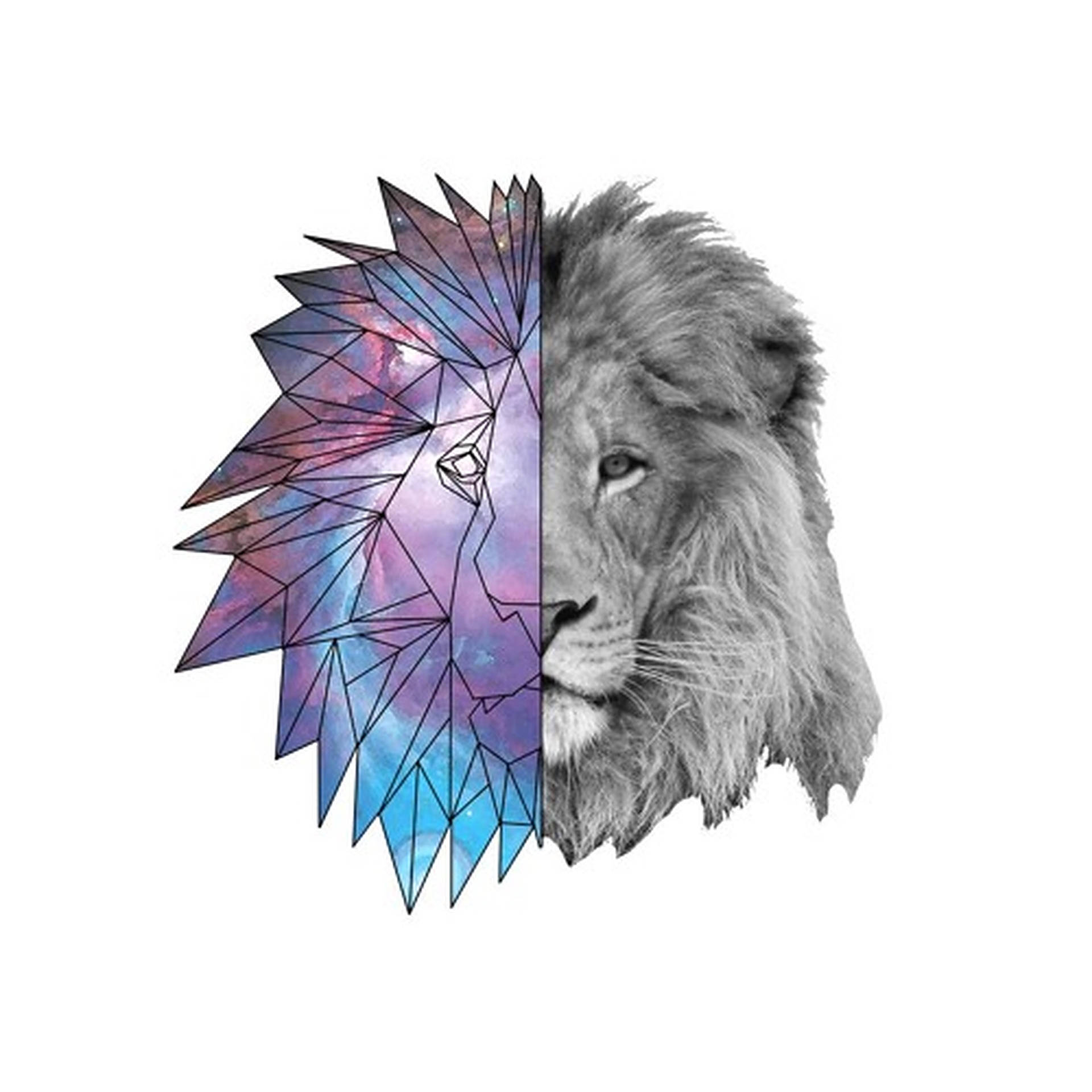 獅子頭分開，寫實的一半和星系圖案的一半 — 銀河獅子 壁紙