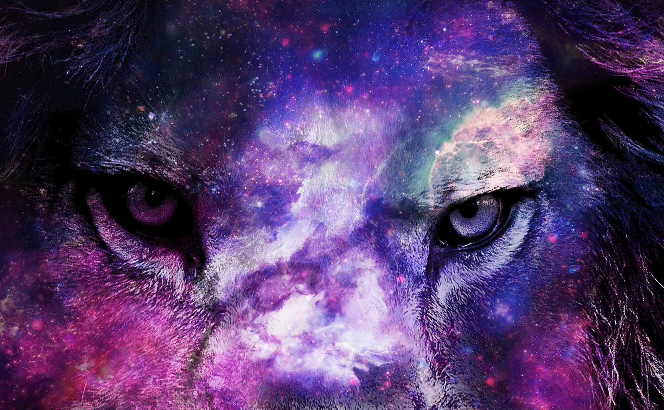 星際獅王雙眼 壁紙 — 獅子嘅銳利目光同旋轉嘅紫色同粉紅色銀河融為一體，毛髮入面嘅星星閃閃發光。