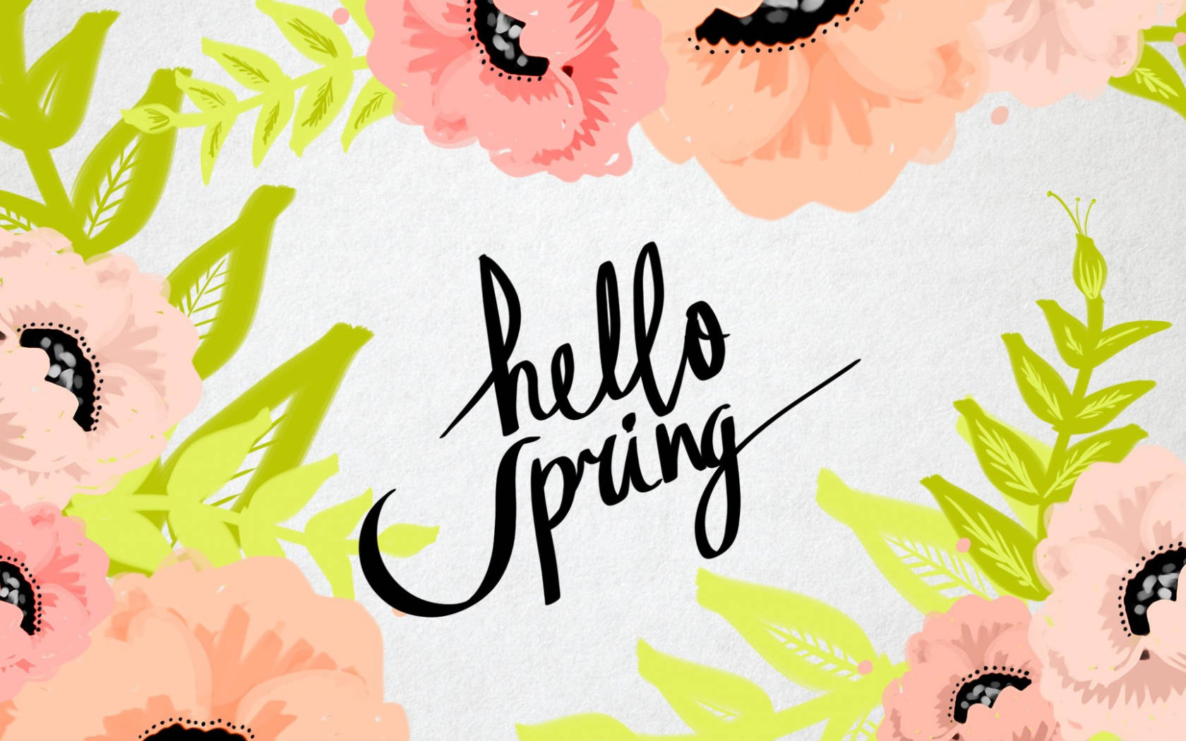 春日粉花「Hello Spring」數位畫作 壁紙 — 鮮豔的粉紅色罌粟花和青檸綠葉環繞著優雅的黑色草書文字，在紋理白色背景上寫著「你好春天」。