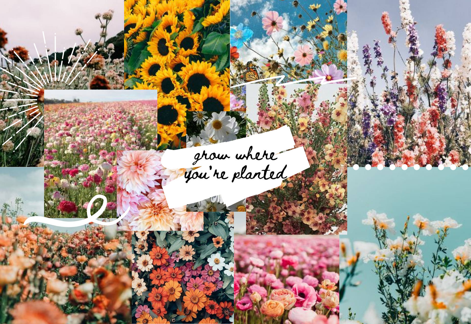 帶有文字「grow where you're planted」的勵志花卉拼貼畫。