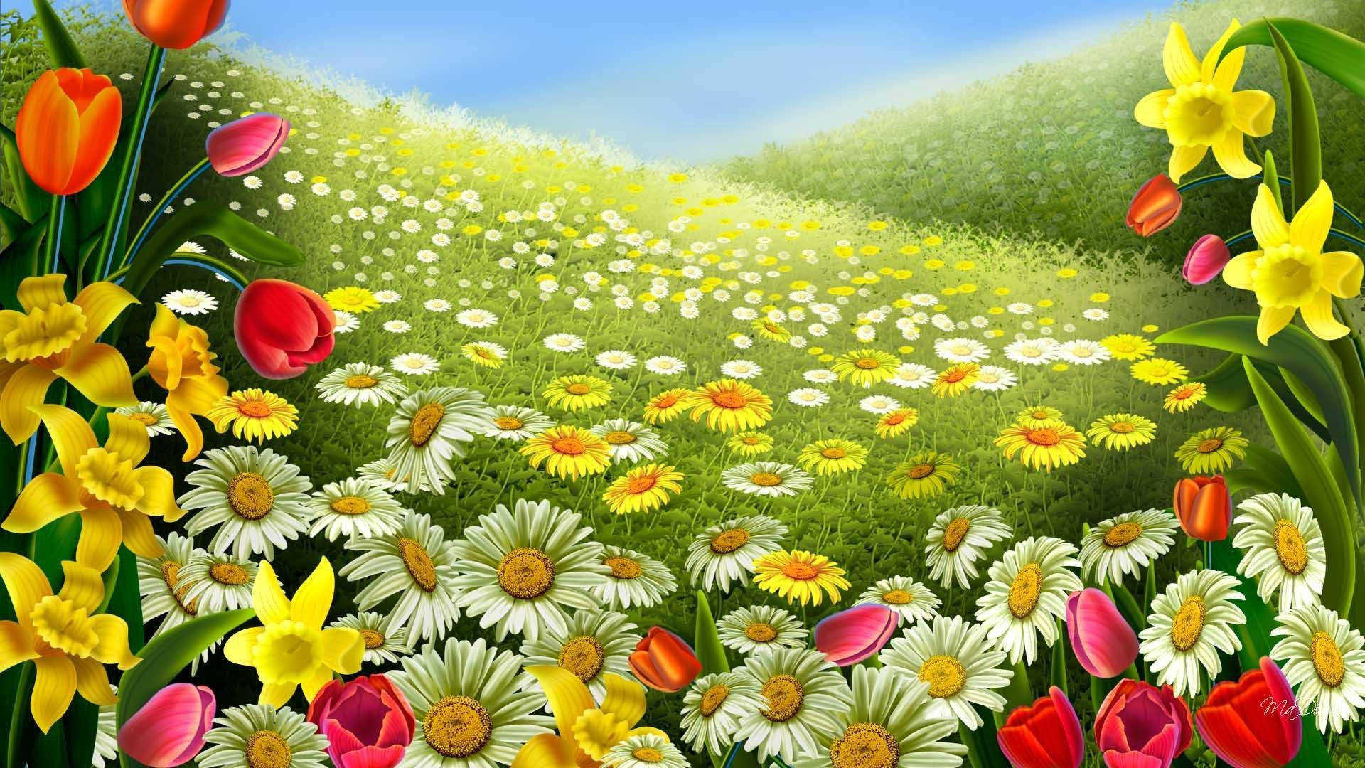 藍天下色彩繽紛的春日草地，開滿雛菊、鬱金香和水仙花 — 春天花朵 GIF 壁紙