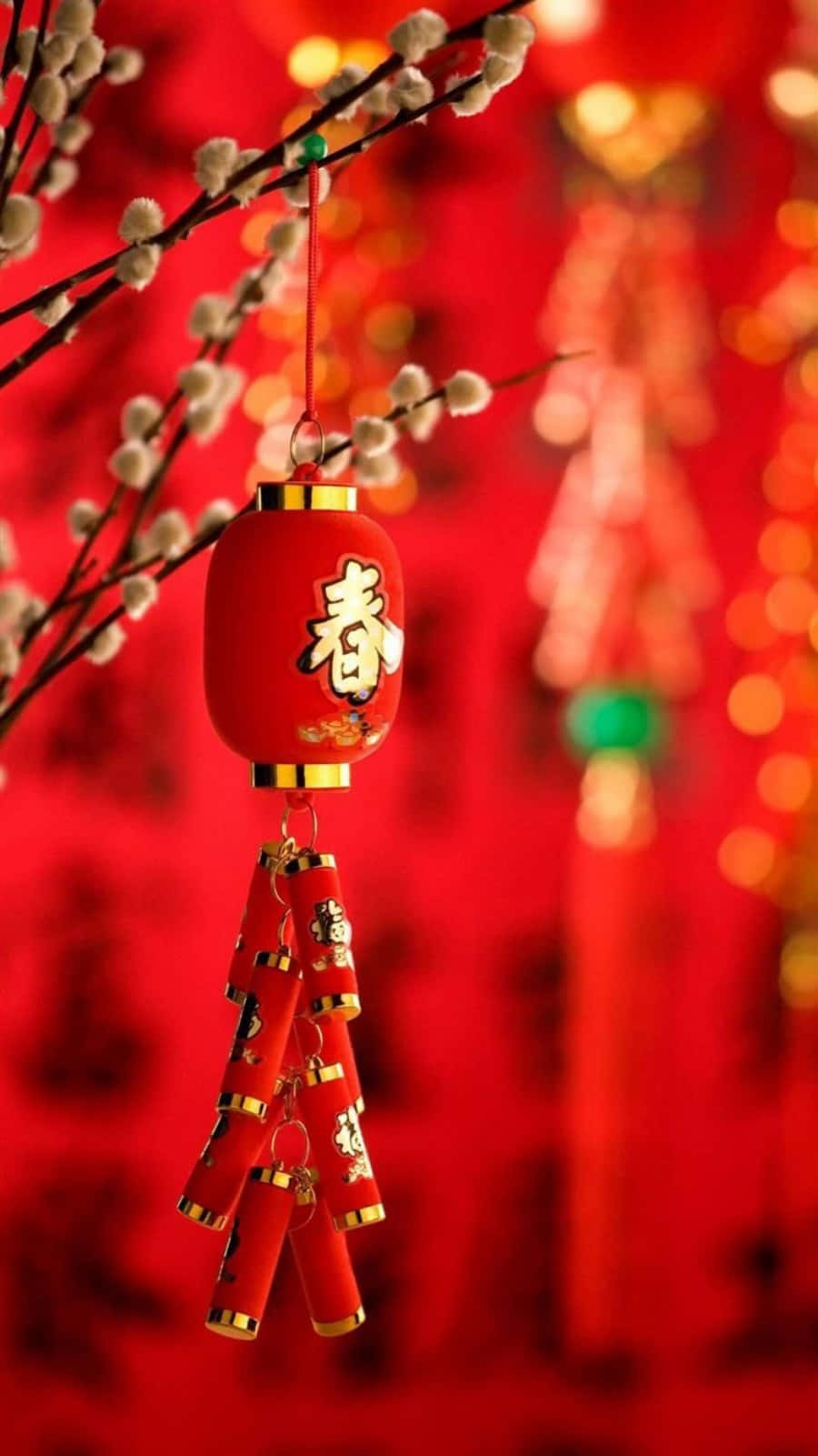 紅色中國燈籠，帶有金色字符，掛在柳枝上，帶有節日散景燈光。