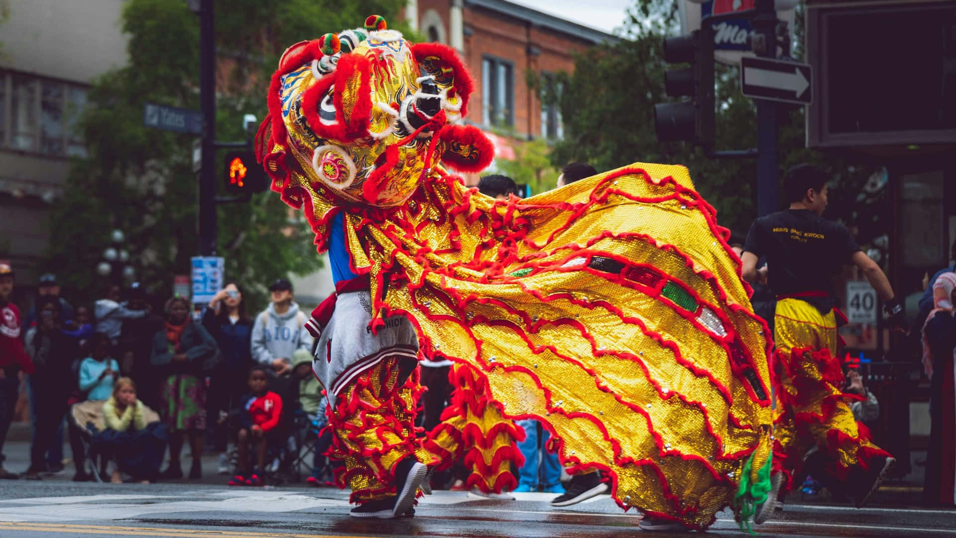 春節舞獅慶典 壁紙 — 一件充滿活力的金色和紅色舞獅服裝在潮濕的城市街道上充滿活力地表演，觀眾從人行道上觀看。