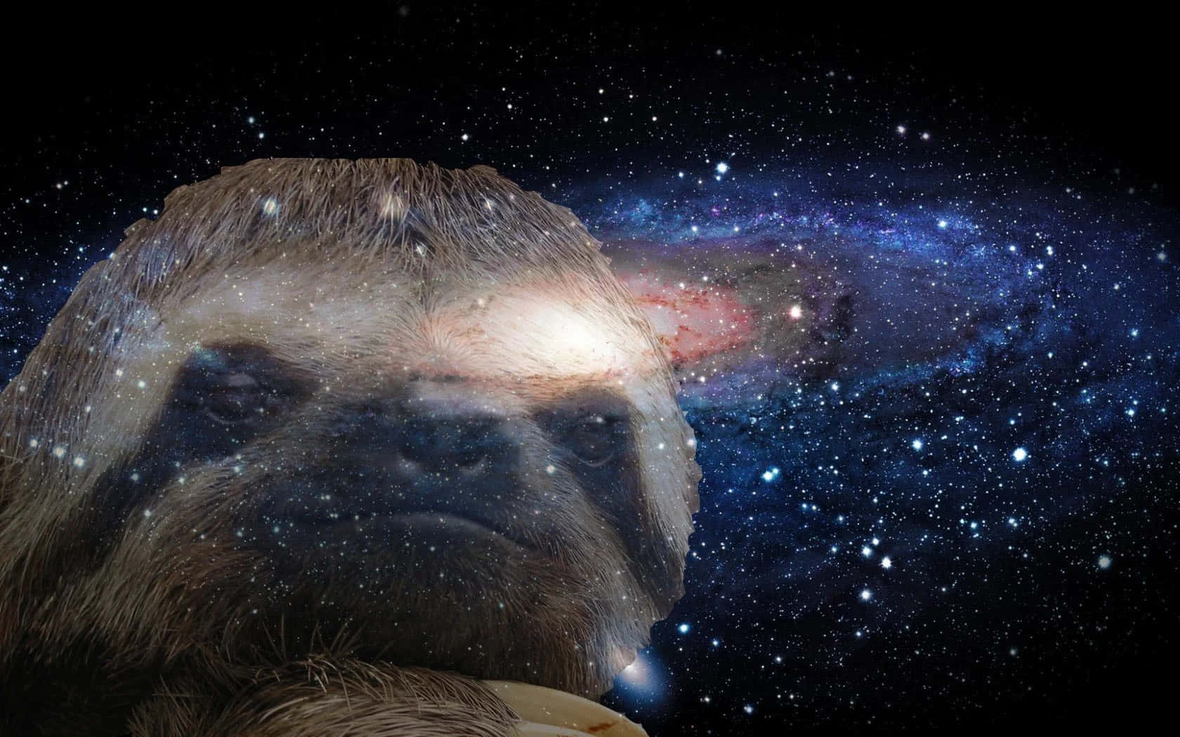 是時候慢下來了 壁紙 — 樹懶的臉與一個充滿宇宙恆星和星雲的鮮豔螺旋星系融合在一起。