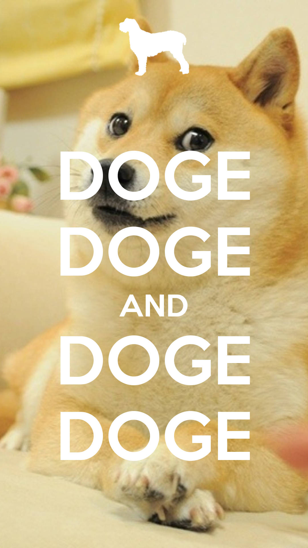 柴犬帶有「DOGE」文字疊加和上方白色狗剪影。
