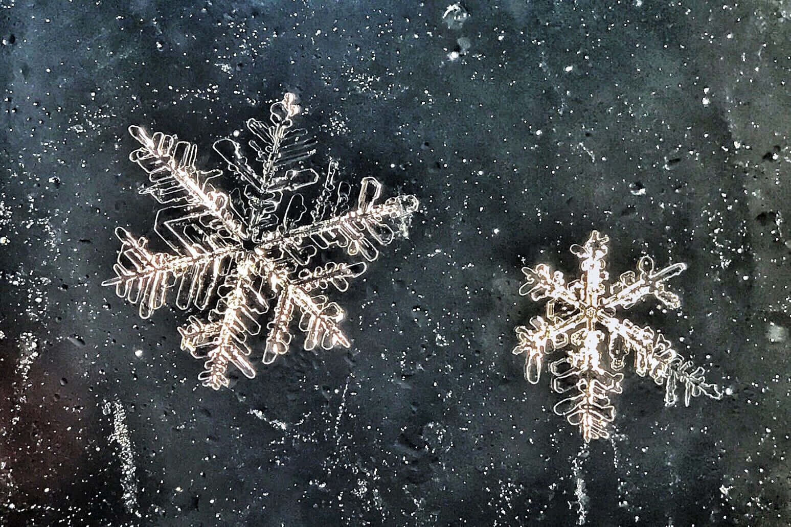 時光凝固的絢麗雪花 壁紙 — 兩個精緻的霜晶在柔和光線下於深色紋理表面上閃耀。