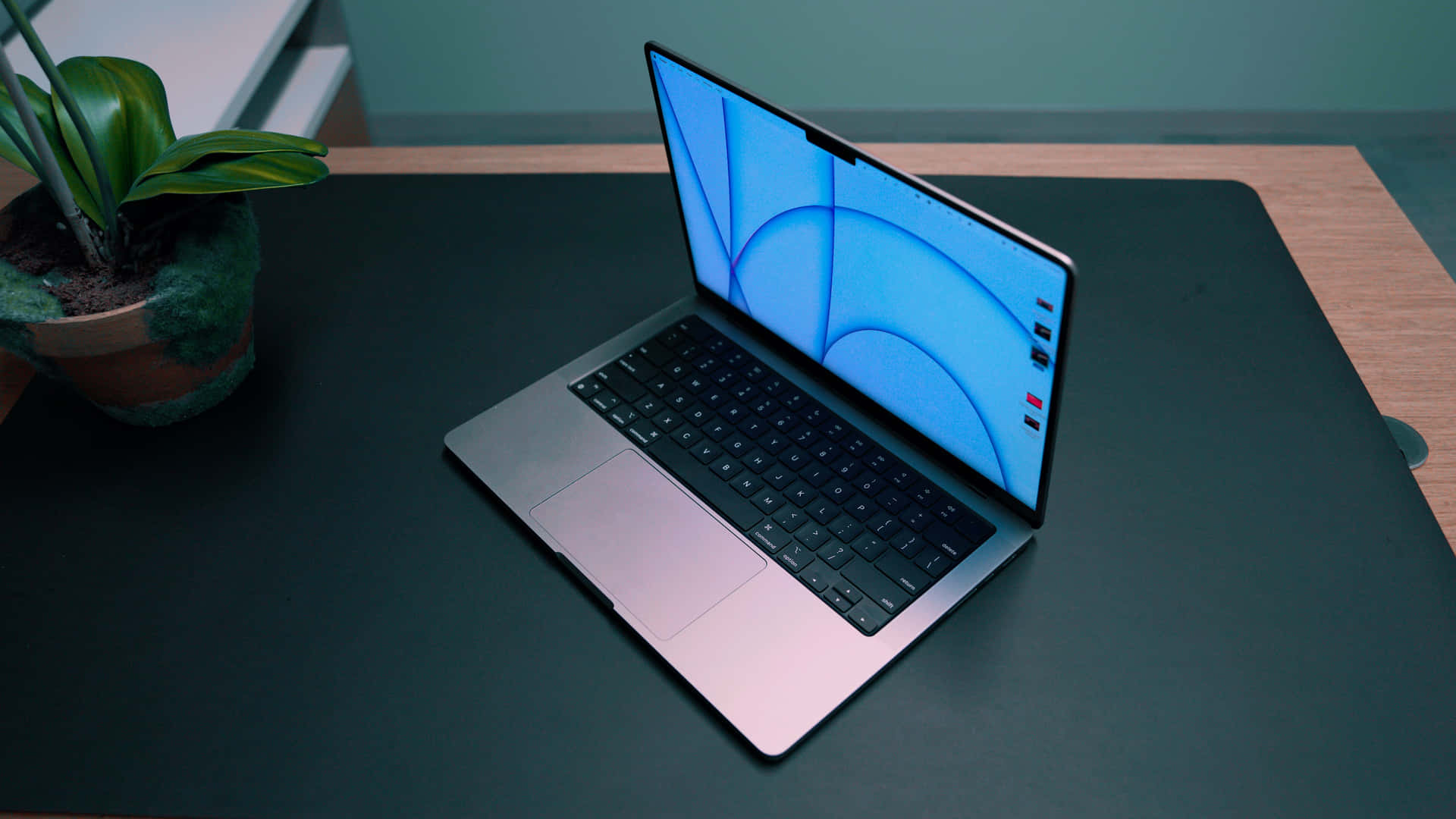 時尚優雅的 MacBook 筆記型電腦 壁紙 — 一部時尚的銀色手提電腦，帶有藍色抽象屏幕，打開放在黑色桌子上，旁邊有一盆綠色植物。