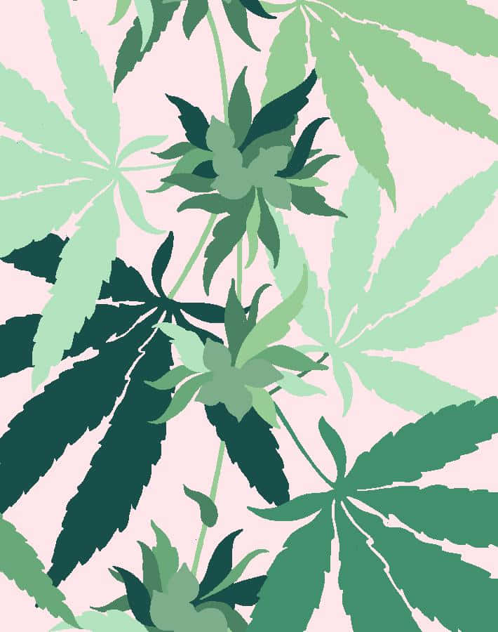 粉紅色背景上以綠色調繪製的大麻葉圖形插圖。