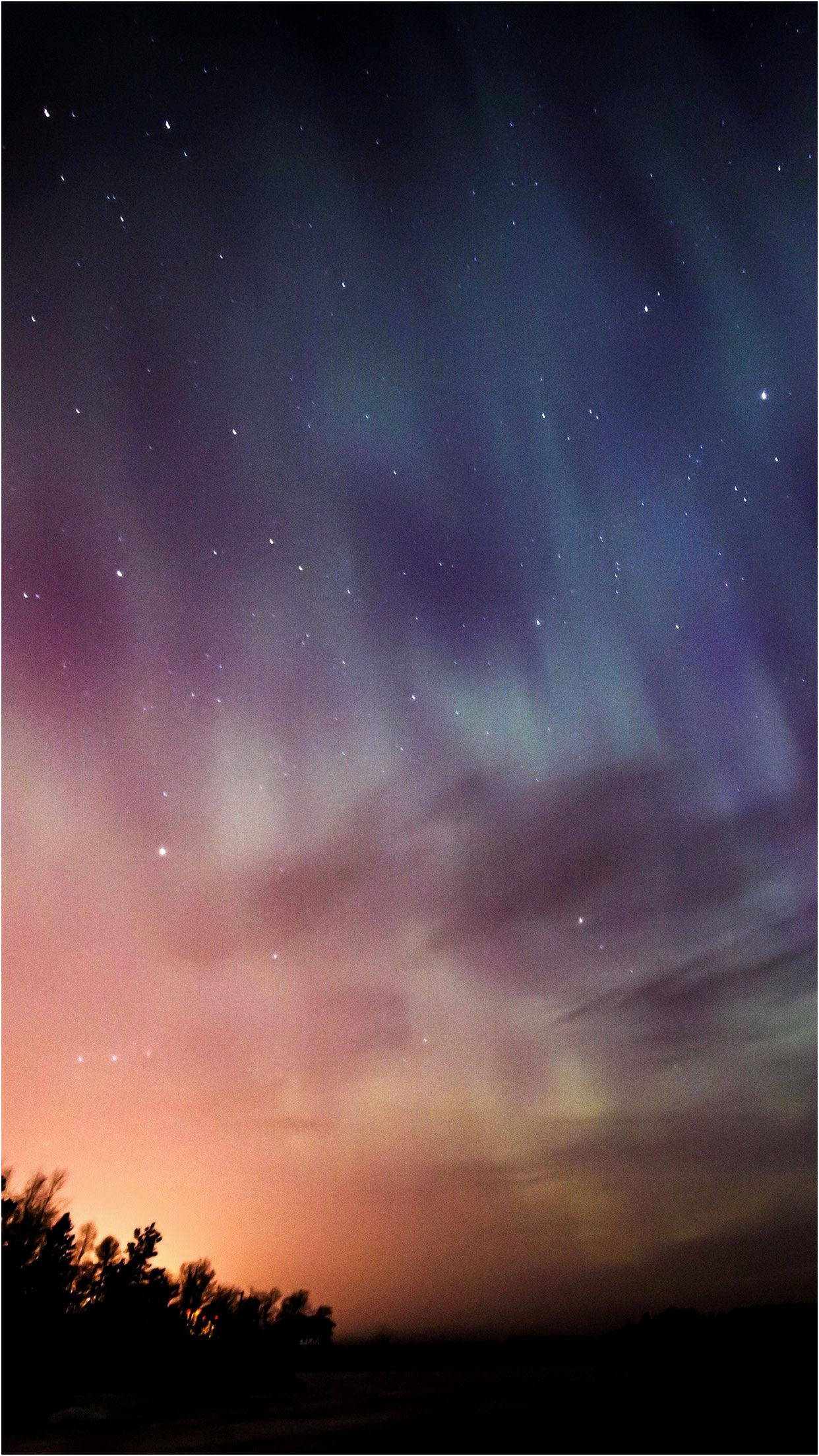時尚極光夜空 壁紙 — 一道充滿活力的極光在星光閃爍的暮色天空中舞動，映襯著樹木的剪影。