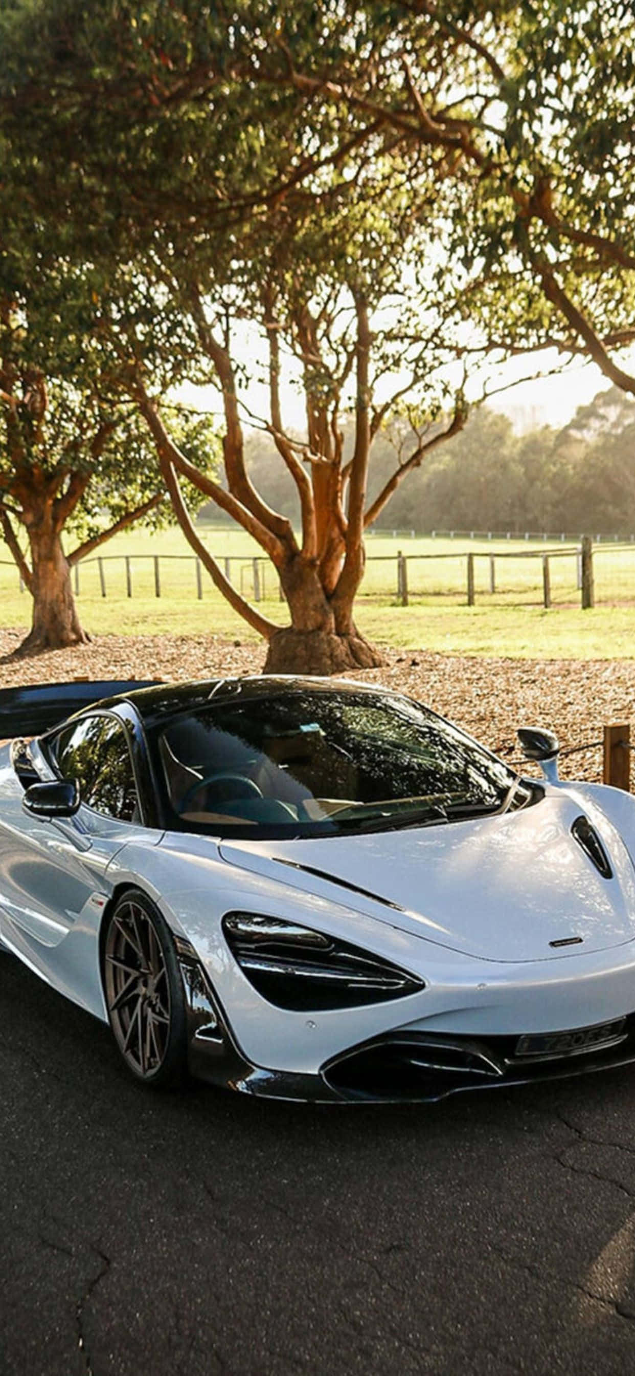 時尚現代的 iPhone Xs Max 與經典強勁的 McLaren 720s 同框 壁紙 — 一架時尚的白色跑車停泊在枝葉茂密的樹下，金色陽光穿過樹枝灑落。