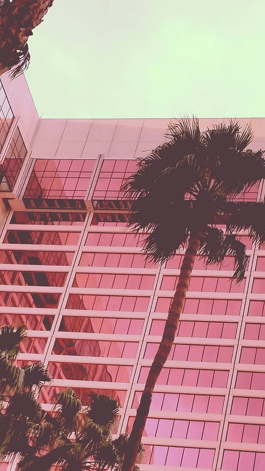 綠色天空下粉紅色玻璃建築前的棕櫚樹。