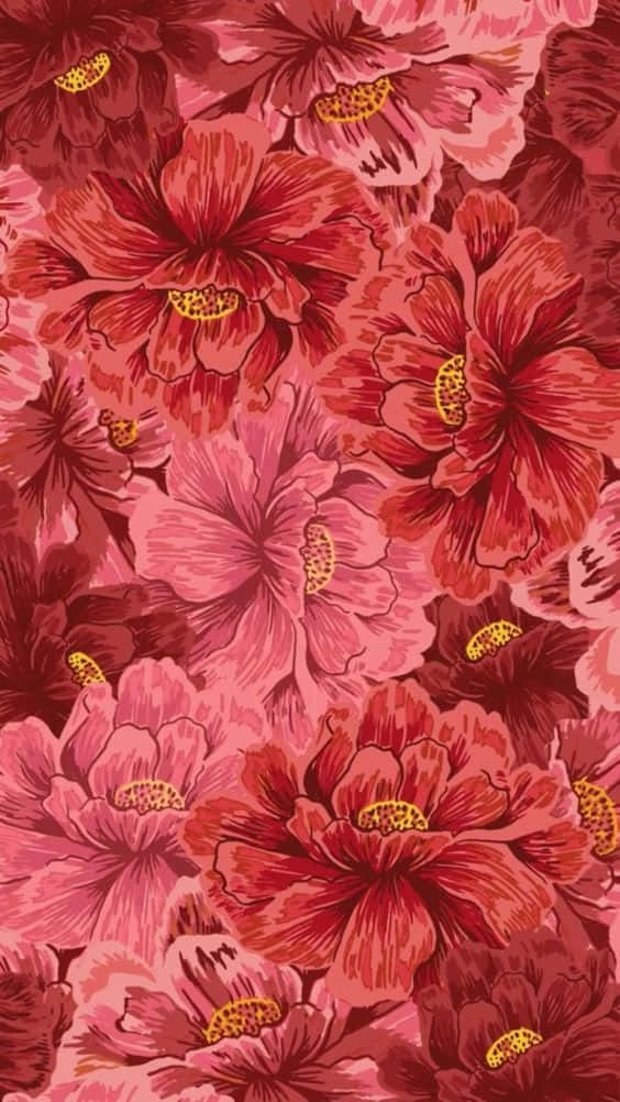 時尚紅色 iPhone，盡顯品味 壁紙 — 鮮豔的紅色和粉紅色芙蓉花，黃色花心，密集地重複綻放。