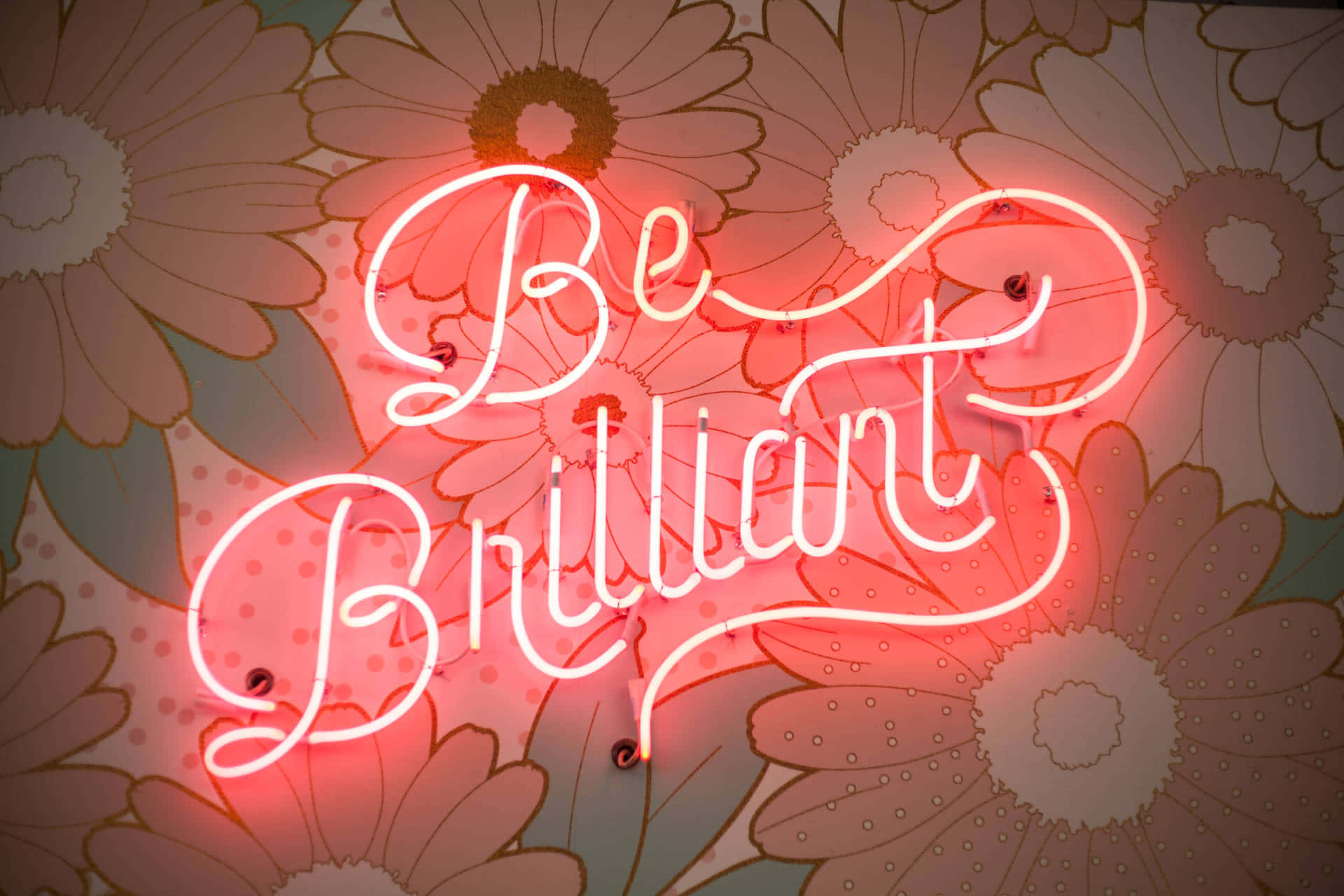 花卉壁紙上寫著「Be Brilliant」的霓虹燈牌。