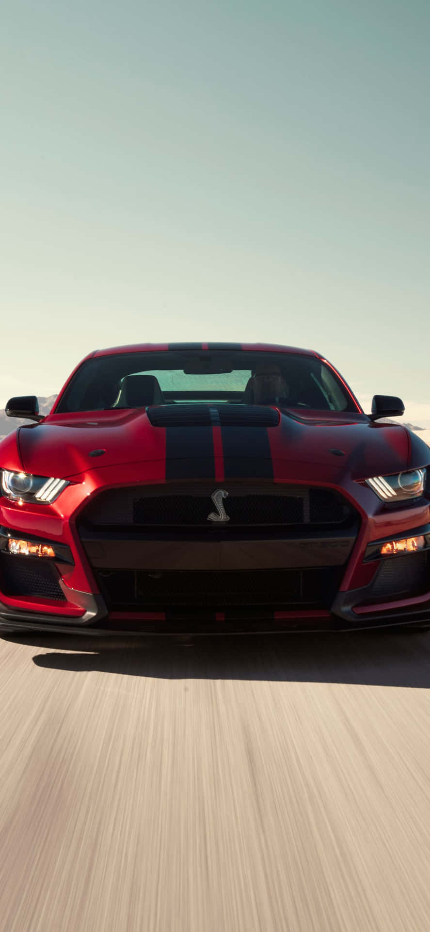 紅色Shelby Mustang在日落時分的道路上疾馳。